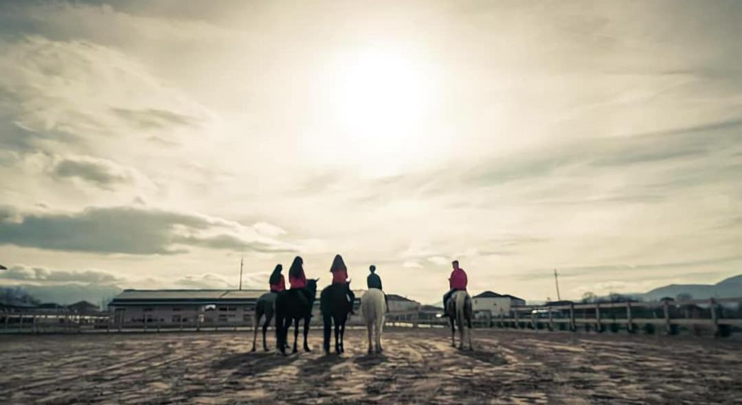 House Of Horses Shtepia E Kuajve Hotel คอร์เชอ ภายนอก รูปภาพ
