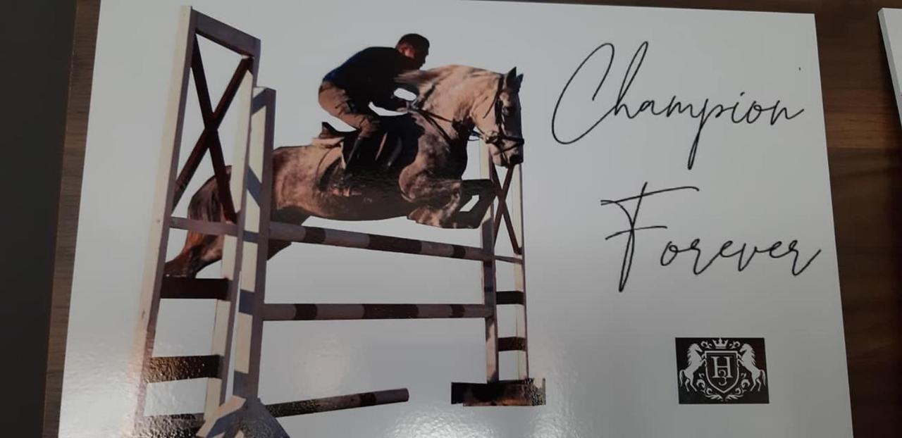 House Of Horses Shtepia E Kuajve Hotel คอร์เชอ ภายนอก รูปภาพ