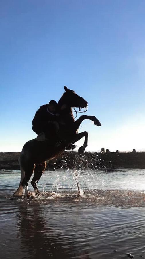 House Of Horses Shtepia E Kuajve Hotel คอร์เชอ ภายนอก รูปภาพ