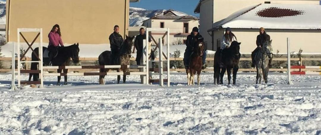 House Of Horses Shtepia E Kuajve Hotel คอร์เชอ ภายนอก รูปภาพ
